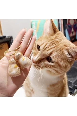 Zvnm Kedi Şeffaf Anı Anahtarlığı - Kedi Figürlü - Karışık Model Zcv12