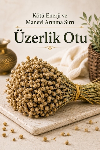 Yörem Afyon Kötü Enerji Ve Manevi Arınma Sırrı Üzerlik Otu, Nazar Otu Peganum Harmala 1 Demet