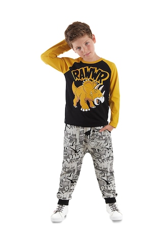 Denokids Mshb&g Rawr Erkek Çocuk T-shirt Pantolon Takım Çok Renkli