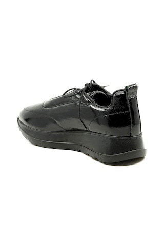 Dexter Tp22138-20 Çok Renkli