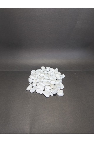 5 Kg Doğal Beyaz Dolomit Taşı 2-4 Cm Saksı Üstü Dekoratif Taş, Sukulent & Kaktüs Taşı