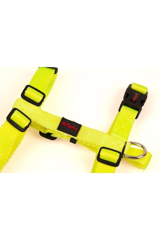 Pettagart Ayarlanabilir Neon Sarı H Tipi Köpek Göğüs Tasması Turuncu