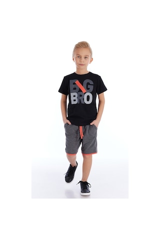 Denokids Mushi Big Bro Erkek Çocuk Şort Takım Çok Renkli