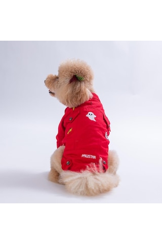 Kırmızı Cancun - Cancún Ceket Gabardin Çıtçıtlı Kedi Köpek Ceketi Kedi Köpek Kıyafeti Kedi Köpek Elbisesi