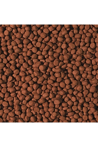 250 Gram Tropical Cichlid Carnivore Medium Pellet Büyük Granül Ba