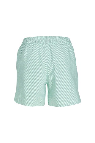 Jjxx Jxsıva Oxford Shorts Wvn Yeşil Kadın Şort 000000000101961830 Yeşil