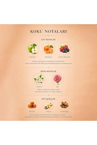 Niche Zenıth Nova Unısex 90 Ml Extraıt De Perfume Baharat - Odunsu