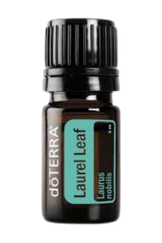 Laurel Leaf Oil 5ml - Defne Yaprağı