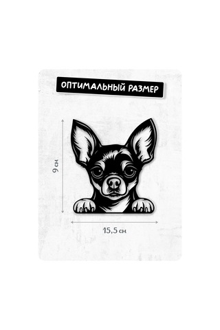 Stadi Dikkat Eden Köpek Etiketi 201967031 Siyah