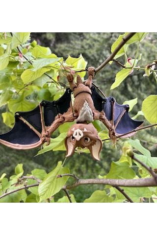 Yarasa Figür Oyuncak 3d Hareketli Organik Vip Model - Büyük Boy