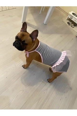 Best Golden Monkey Köpekler İçin Slip Slip-kombinezon 42867033