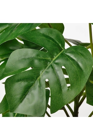 Ikea Fejka Saksılı Yapay Monstera 32 Cm Koyu Yeşil Siyah Siyah - Yeşil
