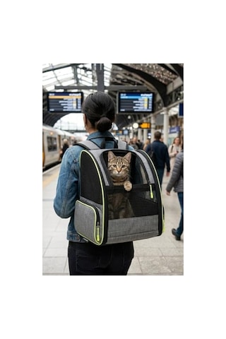 Gri Renkli Piramit Model Yıkanabilir Kedi Ve Köpek Taşıma Çantası