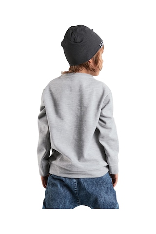 Denokids Roar Erkek Çocuk Sweatshirt - Gri