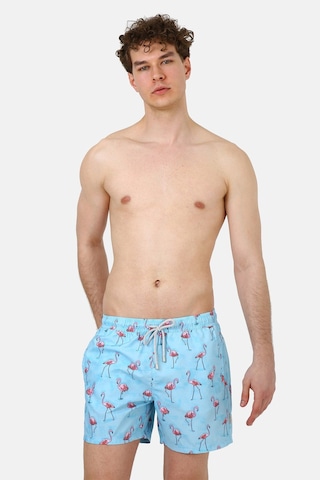 John Frank Flamingo Desenli Hızlı Kuruyan Mayo Short Erkek Mayo Short Jfsssw43 Açık Mavi
