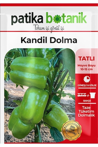 150 Adet Yerli Ata Kandil Dolma Biber Tohumu