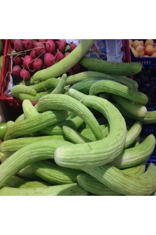 İnce Uzun Meyveli Dağcı Acur Tohumu 20 Tohum