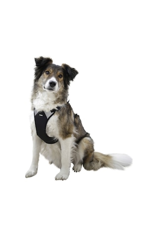 Kerbl Göğüs Tasması Köpek Siyah 72 - 96 CM Siyah