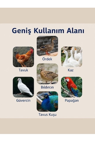 24 Lü Dijital Otomatik Yumurta Kuluçka Makinesi Tavuk, Bıldırcın, Ördek İçin