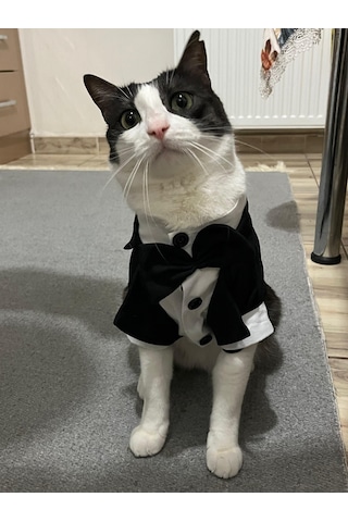 Gobo Papyonlu Smokin Damatlık Kedi Köpek Giyim Takım Elbise