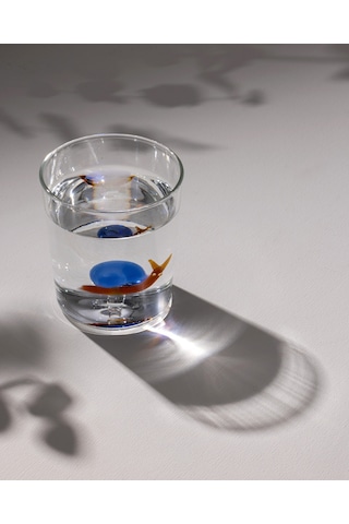 Madame Coco Violet Borosilikat Cam Bardak - Sarı/mavi - 350 Ml 8684427179772 Çok Renkli