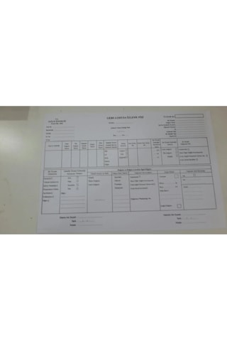 Gebe Lohusa İzlem Formu
