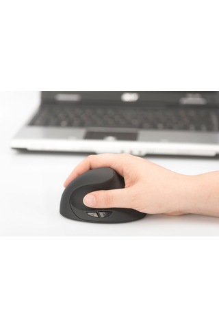 Digitus DA-20155 Ergonomik Kablosuz Mouse