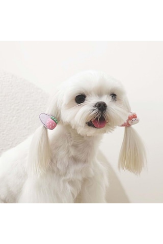 M-pets Glam Figürlü Kedi Ve Köpekler İçin Aksesuar Toka Pembe Mor