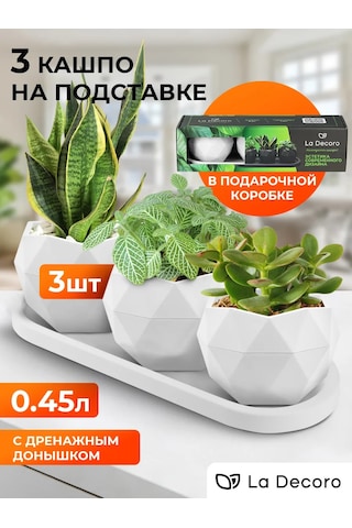 La Decoro Sukulentler İçin Saksı, Menekşe Saksıları, Kaktüs Saksısı. 332559406