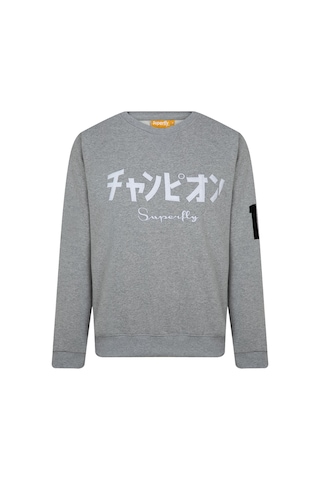 Superfly Bisiklet Yaka Erkek Sweatshirt Spf101232313408 Gri