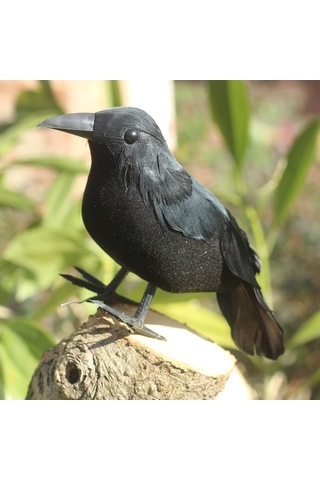 Xianwen Geeroyoo 3 Adet El Yapımı Siyah Tüylü Karga Süsü -