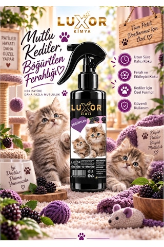 Luxor Kedi Parfümü Böğürtlen Aromalı 200 ml