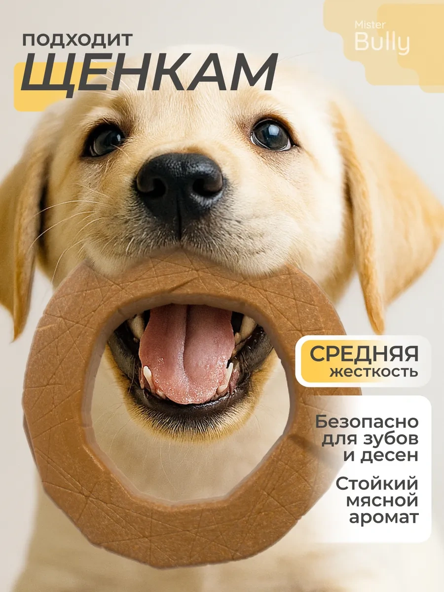 Misterbully Orta Irk Köpekler Ve Yavru Köpekler İçin Oyuncak Halka 419981518