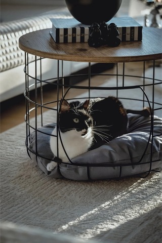 Dekoratif Kedi Yuvalı Yastıklı Metal Sepetli 2’li Orta Sehpa