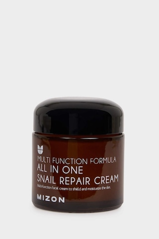 Defacto Mizon All In One Snail Repair Cream - Salyangoz Özlü Hepsi Bir Arada Bakım Kremi 75 g G7284AXNS