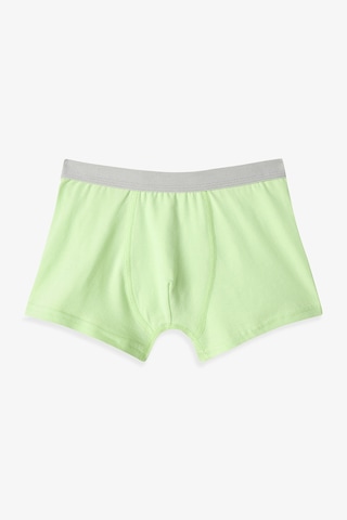 Penti Renkli Erkek Çocuk Dino 3'lü Boxer