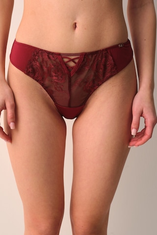 Amarelle Monaco Bordo Dantelli String Külot