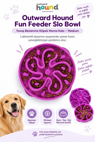 Outward Hound Fun Feeder Slo Bowl Orta Boy Yavaş Yeme Köpek Mama Kabı