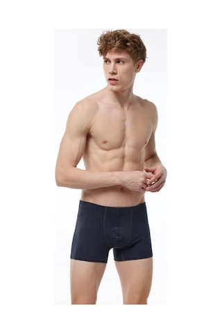 Malabadi 058 Erkek Modal Likralı Boxer-Füme