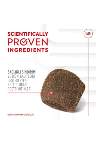 Digestion Chews Yetişkin Köpekler İçin Sindirim Sistemini Destekleyen Tamamlayıcı Ödül Maması 160g