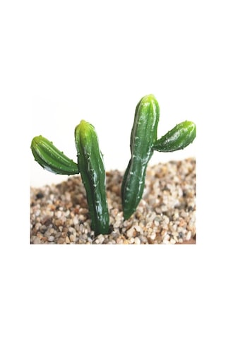 Sones 2 Adet Yapay Mini Kaktüs Bahçe Peyzaj Ev Ofis Dekorasyonu, Stil: İki Peri Sütunu