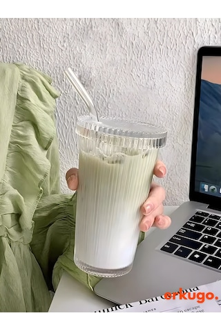 Erkugo Cam Kapaklı Pipetli Borosilikat Isıya Dayanıklı Sunum Bardağı Kahve Bardağı 400 ML Latte