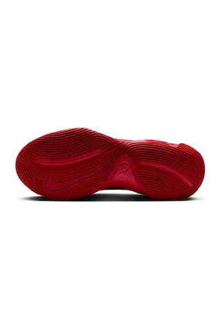 Nike Nıke Gıannıs Immortalıty 4 Erkek Basketbol Ayakkabısı Fq3680 Fq3680 004 Çok Renkli