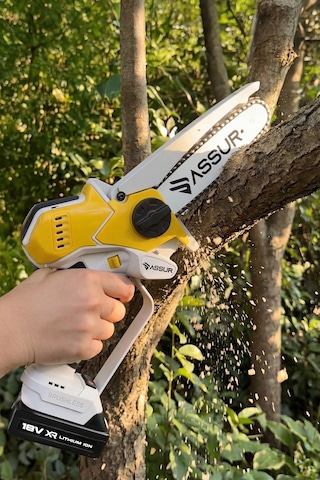 Assur Asr773 18v Çift Akü Dal Budama Testere Sarı