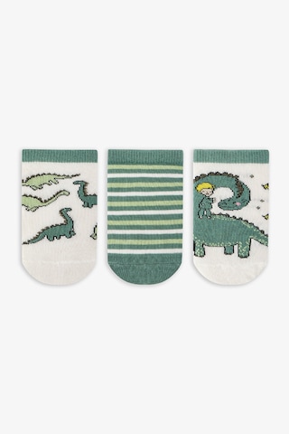 Penti Renkli Erkek Çocuk Sleepasaurus 3'lü Patik Çorap