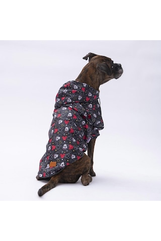 Pettrend Mickey Mouse Mont Köpek Kıyafeti Köpek Yağmurluğu