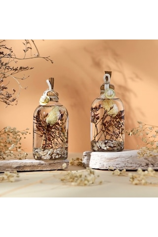Imperiums Deniz Kabuğu Dekoratif Kandil Mum 100 ML