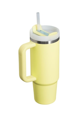Stanley Quencher Flowstate Tumbler Termos 0,89 L 10-11825-051 Çok Renkli