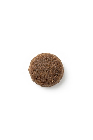 Zampa Plus Premium Tavuk Etli Küçük Irk Yavru Köpek İçin Kuru Mama 2500 G