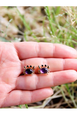 Esha Store Doğal Taş Ametist Doğal Taşlı Yengeç Altın Kaplama Kadın Küpe Euk21amt Mor